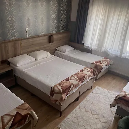 Uygun Palace 2* أديرني